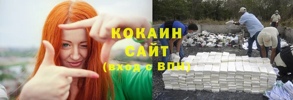 крисы Абаза
