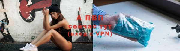 СК Абинск