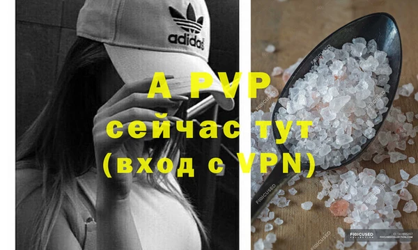 крисы Абаза