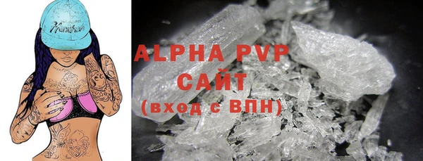 крисы Абаза