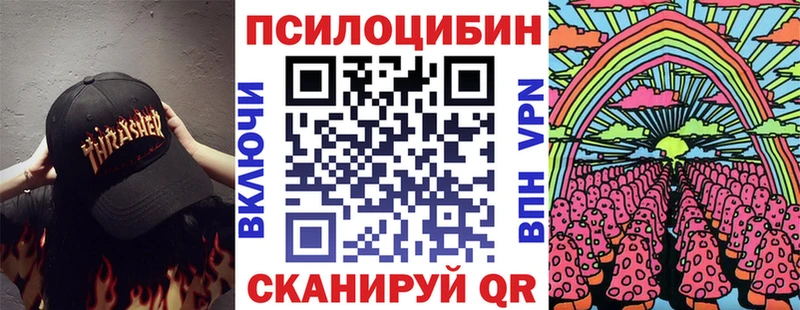 купить наркотик  Карабаш  Галлюциногенные грибы GOLDEN TEACHER 